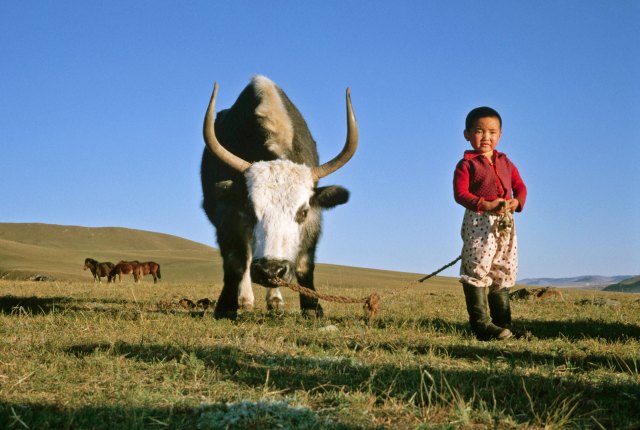 The fate of Europe lies in the steppes