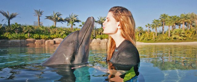 What is it like to be a dolphin?