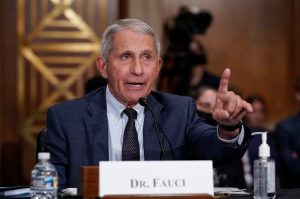How Dick Cheney created Anthony Fauci