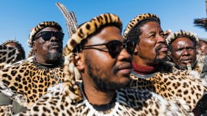 The plot against the Zulu King