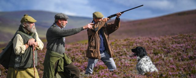 Grouse or pheasant? Jeff J Mitchell/Getty Images