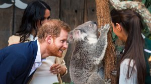 The tragedy of Australian republicans