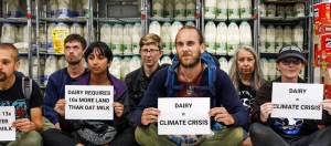 Oat milk is killing the planet
