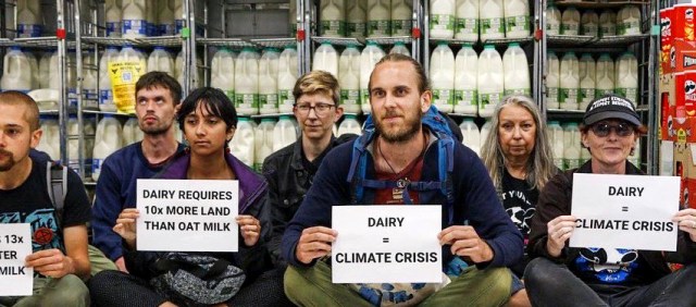 Oat milk is killing the planet