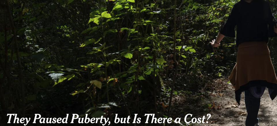 Screengrab from The New York Times