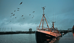 Why Grimsby was left behind