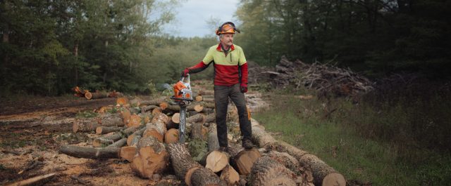 Firewood will save the West