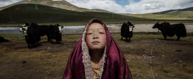 Should we all become nomads?