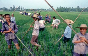 Will rural China survive the Covid wave?