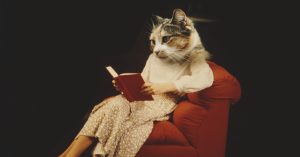 What authors hide about sensitivity readers