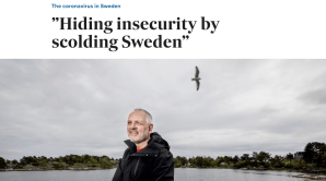 Norway's top epidemiologist: Sweden handled Covid well
