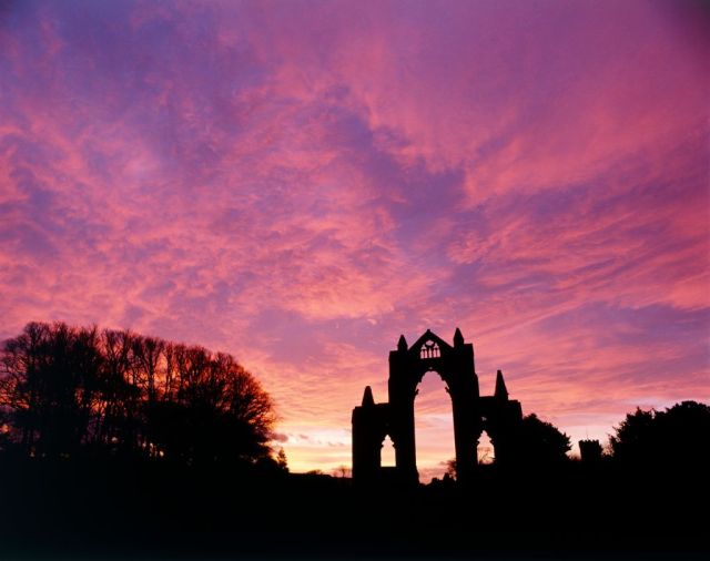 Is there anything left to conserve?