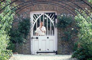 What is King Charles hiding?