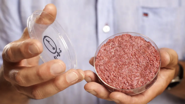 Lab-grown meat has become too much of a risky bet for investors