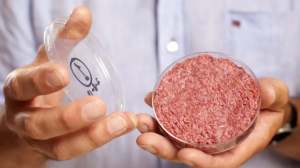 Lab-grown meat is falling out of fashion