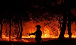 A heatwave isn't the end of the world