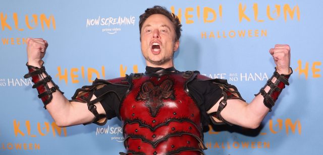Could you beat Elon Musk in a fight?