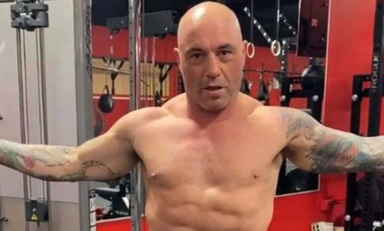 No, Joe Rogan isn't a fascist. Credit: Instagram