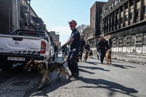 Britain is turning into South Africa