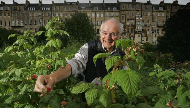 The war over England’s allotments