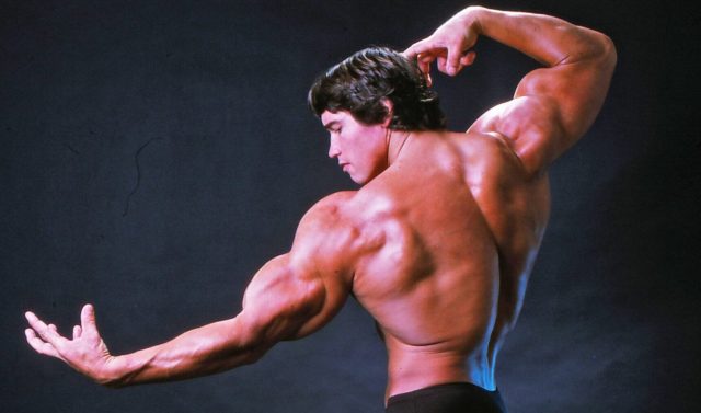 The benign bullshit of Arnold Schwarzenegger