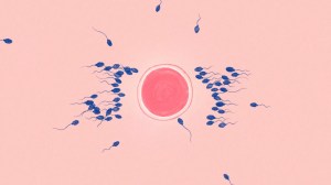 Why is the Scottish government targeting women for egg donation?
