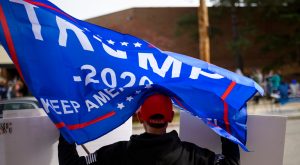 Conservatives are disappearing from the professions