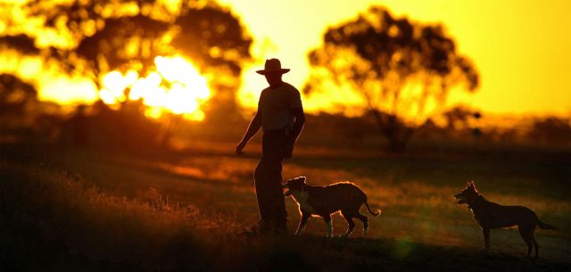 If we are to survive, we must descale. Joe Armao/The AGE/Fairfax Media/Getty Images.