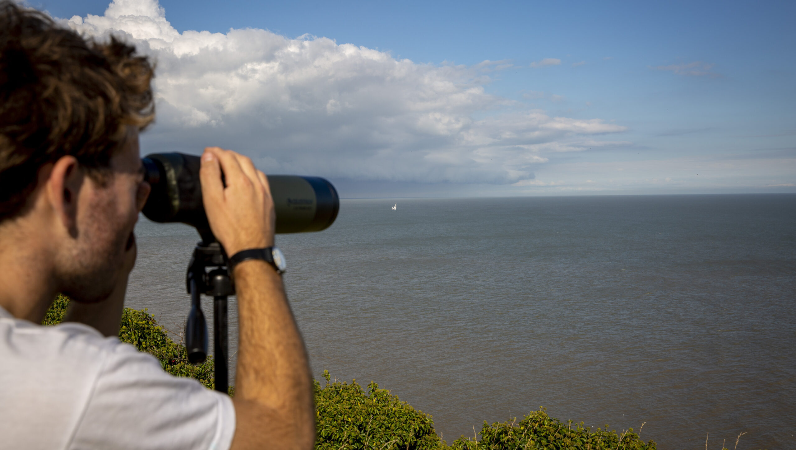 "Is that a Storm-Z battalion?" Credit: Getty