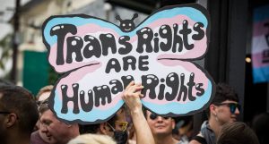 2024 could be the year America's trans bubble bursts