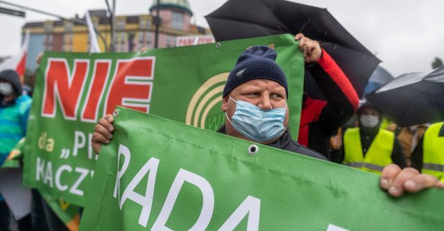 How Polish farmers ignited a European revolution