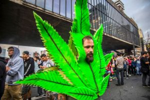 How Germany learned to love weed