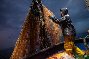 The Battle of Hastings 2.0