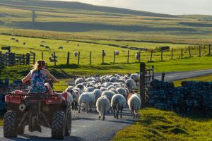 Don't turn Britain's countryside into a culture war