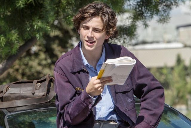 'The feminised, declawed softboi' (Credit: Ladybird)