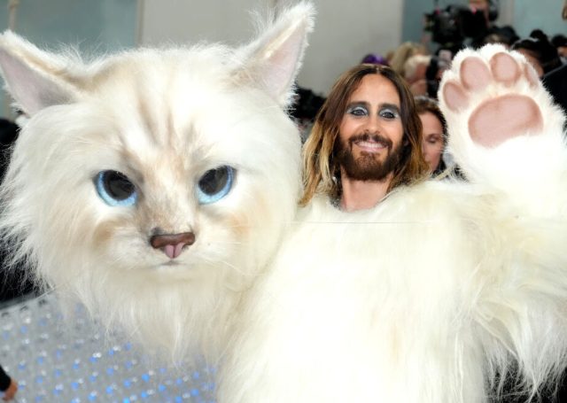 'What will the showbiz demi-gods all wear?' (Jeff Kravitz/FilmMagic)