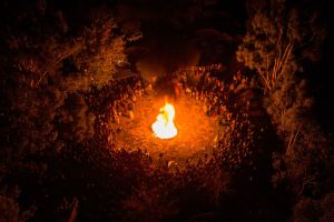 A plague of fallacies has devoured the internet