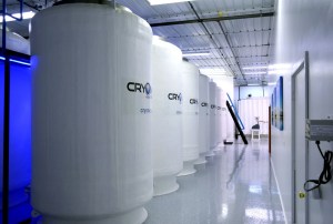 Cryonics won't save you from death