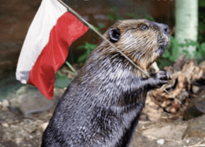 How Gen Z fell for Poland's memes