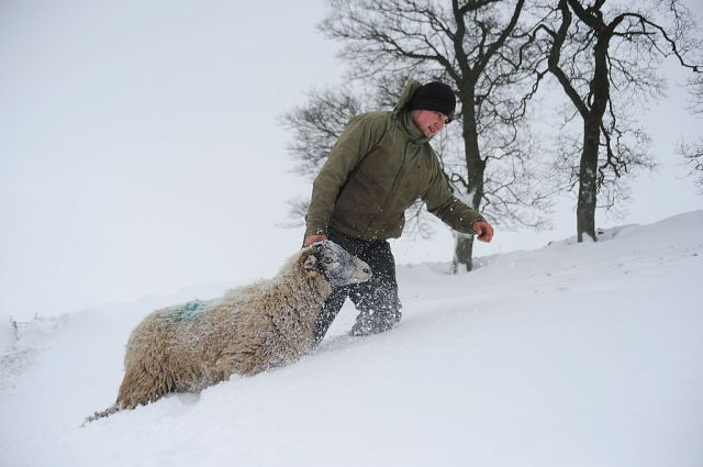 British farmers are already struggling. Ian Forsyth/Getty Images