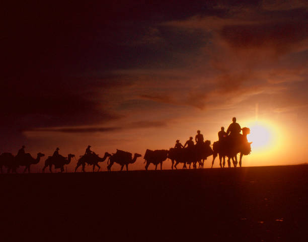 'The camel and caravan were no match for the ship.' Tom Nebbia/Corbis via Getty Images