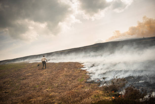 The fate of Britain’s tenant farmers