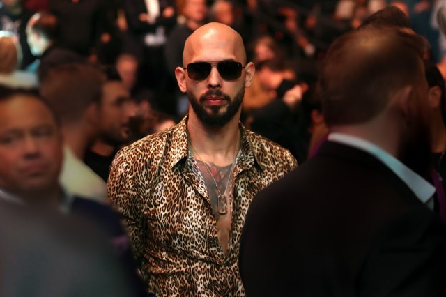 The three tribes of MAGA men