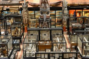 The battle for the Pitt Rivers