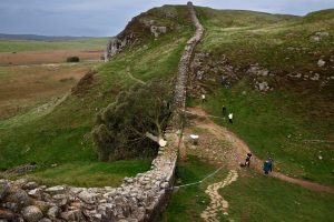 Sycamore Gap tree-cutters don’t deserve four years in jail