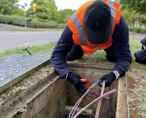 Shut the System heralds new phase of eco-radicalism in UK