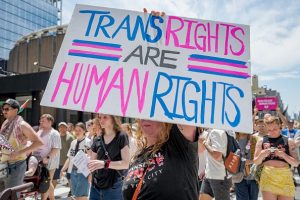 Trans ID decline points to social contagion