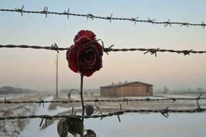 How AI is rewriting the Holocaust