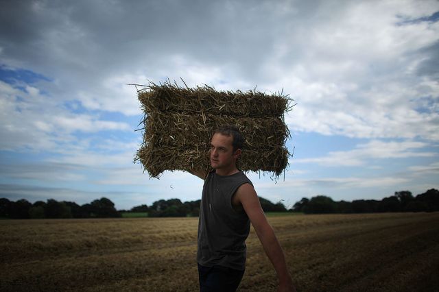 Big Food has devoured farmers