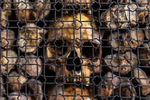 Behind the horror renaissance